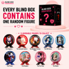 Skullpanda Mirage Series Blind Box Collectible Figure