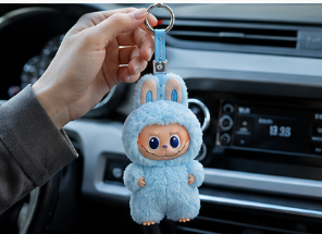 Customer product photo